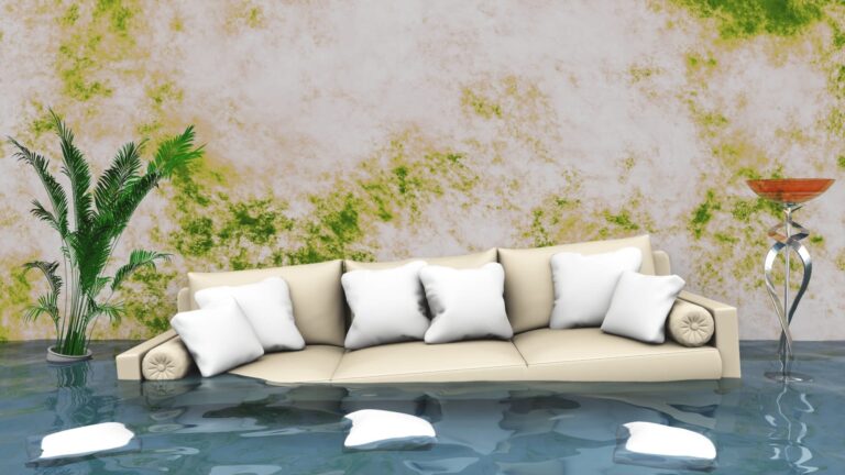 water damage wichita