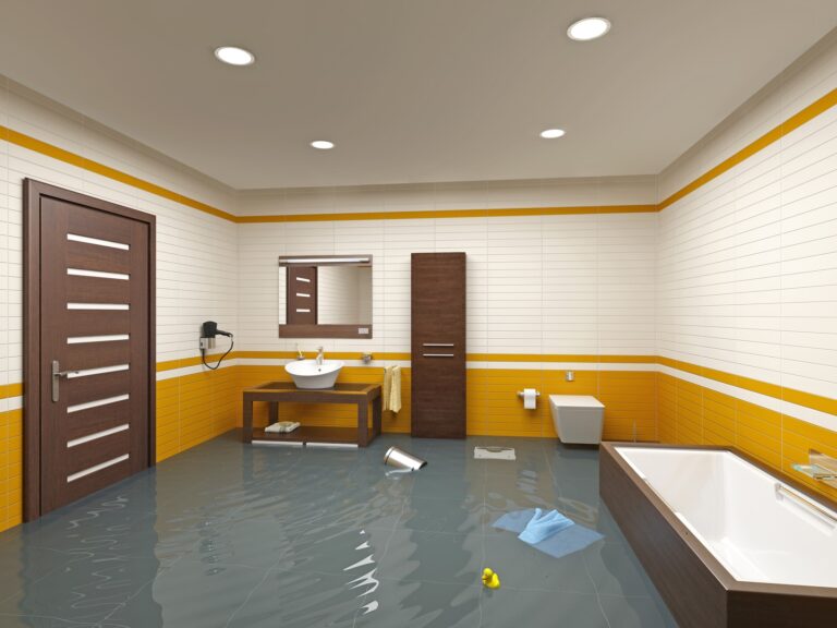 water damage cleanup
