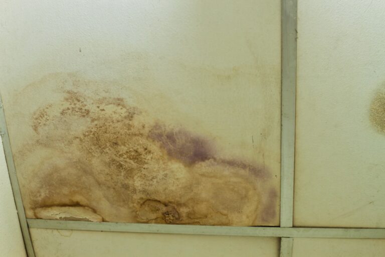 water damage restoration wichita, water damage restoration company wichita, water damage restoration contractor wichita