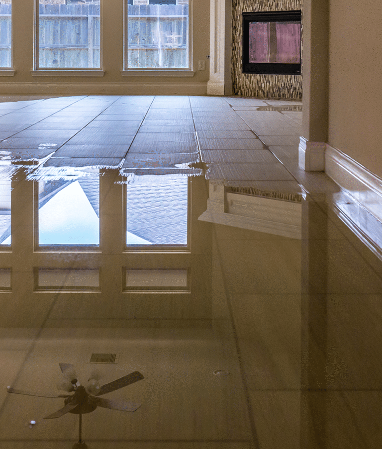 Water Damage Home