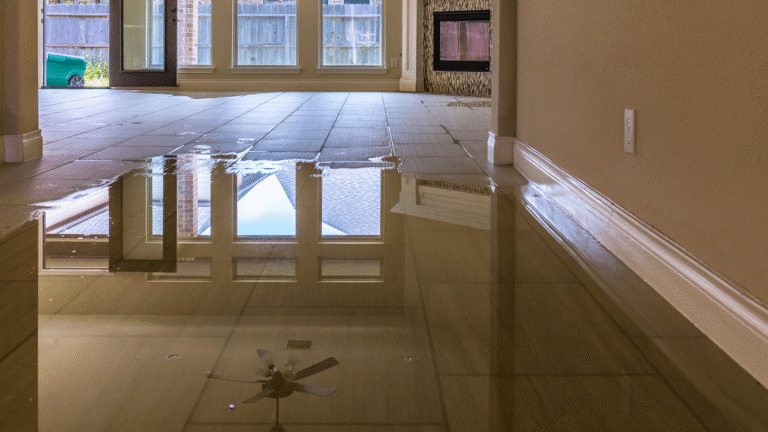 Water Damage Home