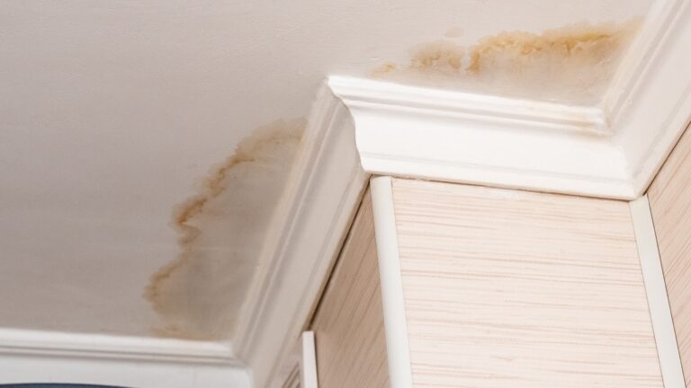 ceiling water damage