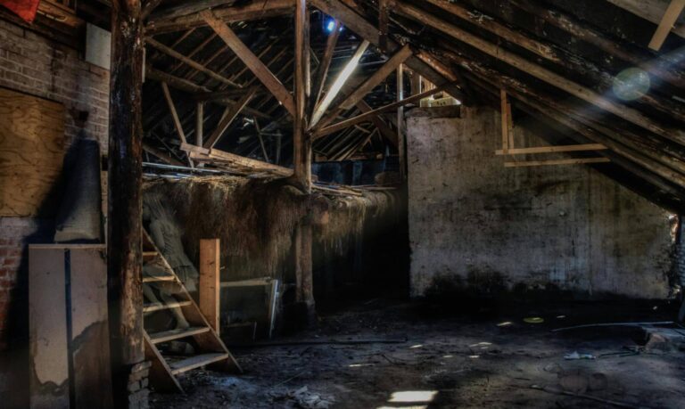 Can mold in an attic be fixed?
