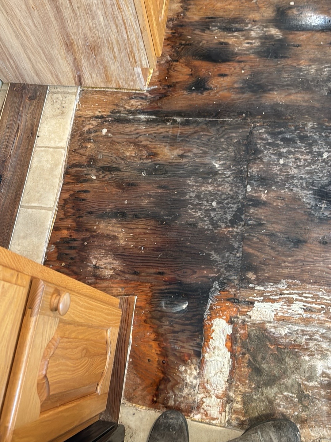 Water damage affecting flooring in an El Dorado home